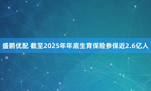 盛鹏优配 截至2025年年底生育保险参保近2.6亿人