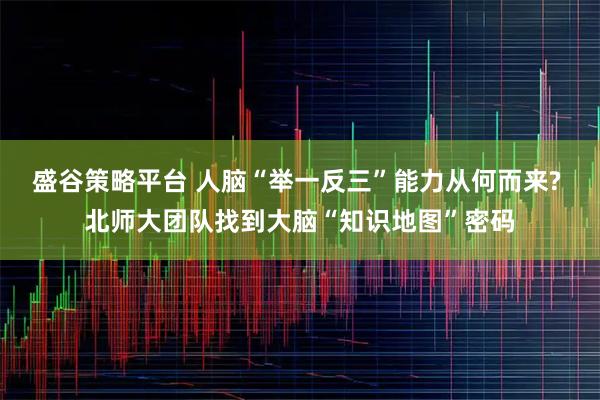 盛谷策略平台 人脑“举一反三”能力从何而来? 北师大团队找到大脑“知识地图”密码