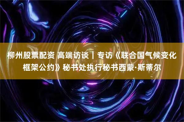柳州股票配资 高端访谈｜专访《联合国气候变化框架公约》秘书处执行秘书西蒙·斯蒂尔